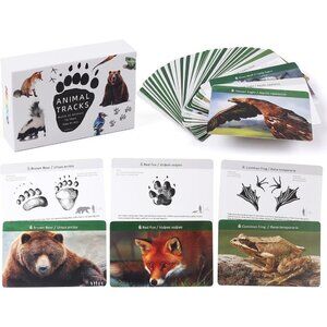 Forest Animal Tracks Flash Cards  Matching Game & Learning Toy for Kids Forest